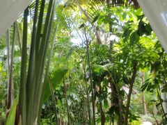 -碧桂园润杨溪谷温泉酒店