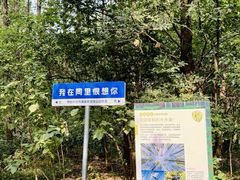 -同里国家湿地公园