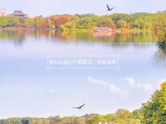 -海珠湖公园