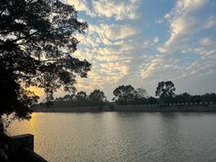 -大湾区中央湿地公园