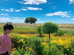 -敕勒川草原文化旅游区
