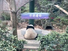 -成都动物园