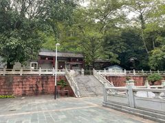 -水濂山森林公园