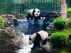 -大连森林动物园