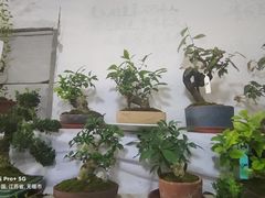 -无锡文化工艺品市场(槐古路店)