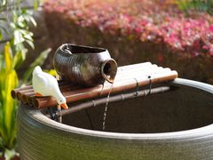 -福建鲤鱼洲酒店