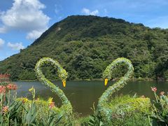 -广州市石门国家森林公园