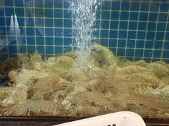 -碧海银沙海鲜餐厅(恒大海上威尼斯店)