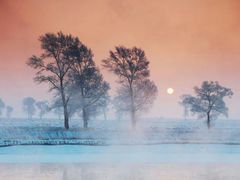 android_upload_pic-雾凇岛