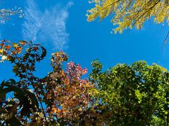 -崇圣寺三塔文化旅游区