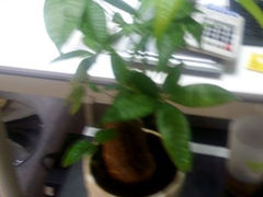 android_upload_pic-栖游青年旅舍(华强北地铁站店)