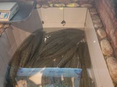 -湘芙蓉·湖南菜(椒江店)