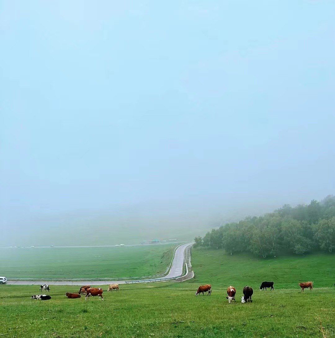 草原部落农家院 草原部落农家院