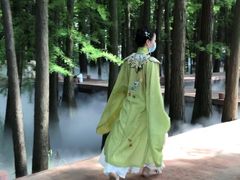 -东湖落雁景区
