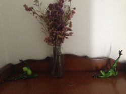 -瑜舍瑜伽连锁教室