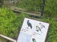 -新加坡飞禽公园