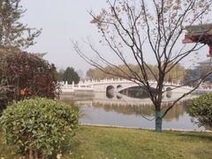 -唐御宴•御宴宫•唐代菜点(芙蓉西路店)