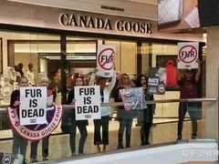 -Canada Goose加拿大鹅(北京三里屯太古里店)