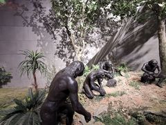 -北京周口店北京人遗址博物馆