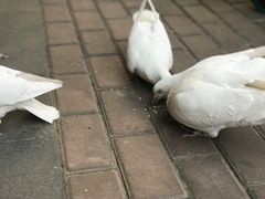 -王府井奥莱临潼小镇(临潼店)