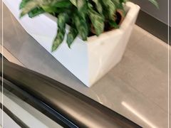 -秦香阁·西北家常菜(徐汇日月光中心店)