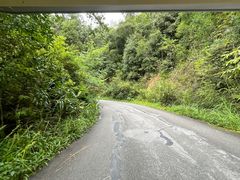 -普洱太阳河森林公园