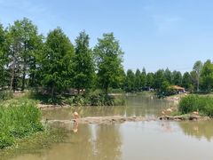 -宁波杭州湾国家湿地公园
