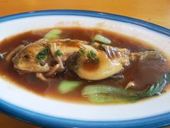 -天正河鲀·河豚亭(大连店)