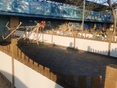 -秦皇岛野生动物园