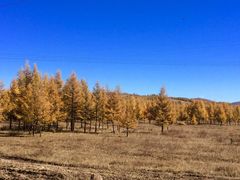 -塞罕坝国家级自然保护区