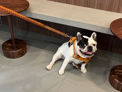 -Again Coffee Roaster(香蜜湖店)