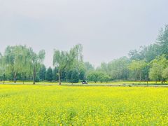 -北坞公园
