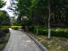 -广州国际生物岛山地公园揽胜园