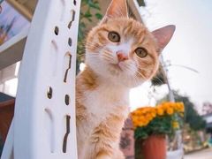 -瑞慈体检沈阳机构