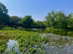 -西溪国家湿地公园