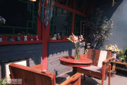 -野鸽脏辫·美式编发专项店