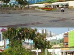 -深圳国际园林花卉博览园