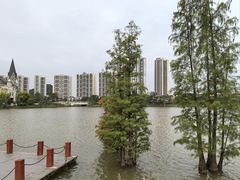 -美的鹭湖森林度假区