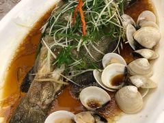 清蒸深海老虎斑-新兴家喻酒家·羊城名宴(昌岗店)