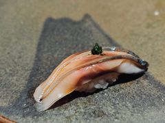 -银座岩