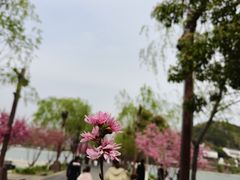 -金牛山大酒店(南北湖风景区店)