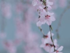 -北京华联购物中心(天通苑店)