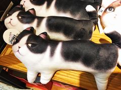-猫咪博物馆(顶澳仔猫街店)