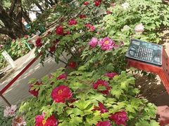 -北京市劳动人民文化宫(太庙)
