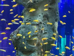 -福州罗源湾海洋世界旅游区