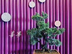 -喜粤8号(四海唐人街店)