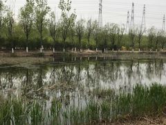 -门城湖公园