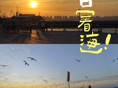 -东港音乐喷泉广场