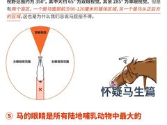 -多维国际马术俱乐部(118广场店)