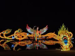 -武汉园博园(武汉自然博物馆)